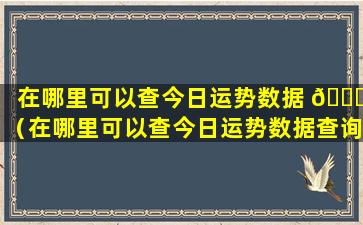 在哪里可以查今日运势数据 🐈 （在哪里可以查今日运势数据查询）